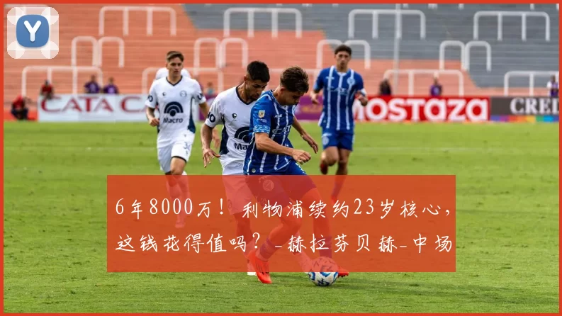 6年8000万！利物浦续约23岁核心，这钱花得值吗？_赫拉芬贝赫_中场_荷兰