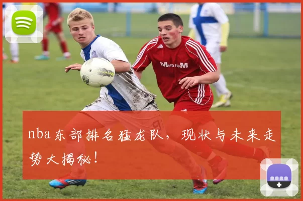 nba东部排名猛龙队，现状与未来走势大揭秘！