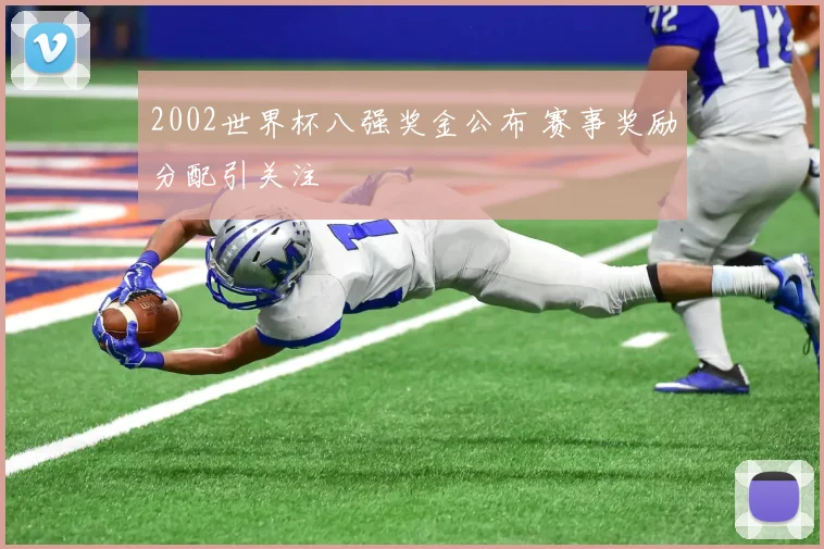 2002世界杯八强奖金公布 赛事奖励分配引关注